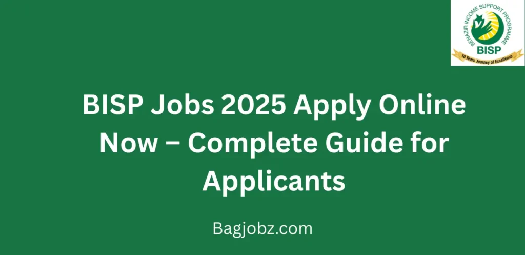 BISP Jobs 2025 Apply Online Now Complete Guide for Applicants
