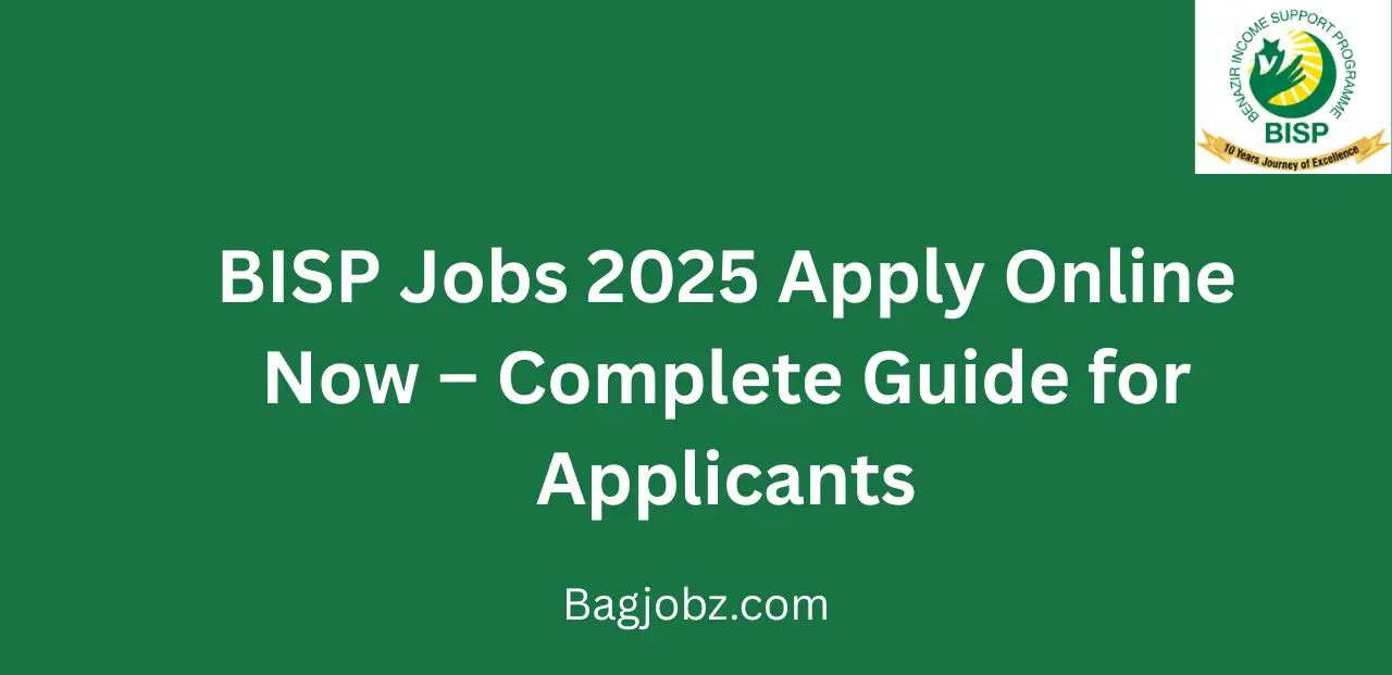BISP Jobs 2025 Apply Online Now Complete Guide for Applicants