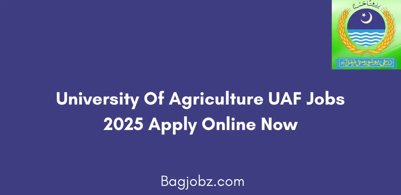 University Of Agriculture UAF Jobs 2025 Apply Online Now